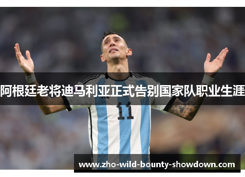 阿根廷老将迪马利亚正式告别国家队职业生涯 阿根廷老将迪马利亚正式告别国家队职业生涯
